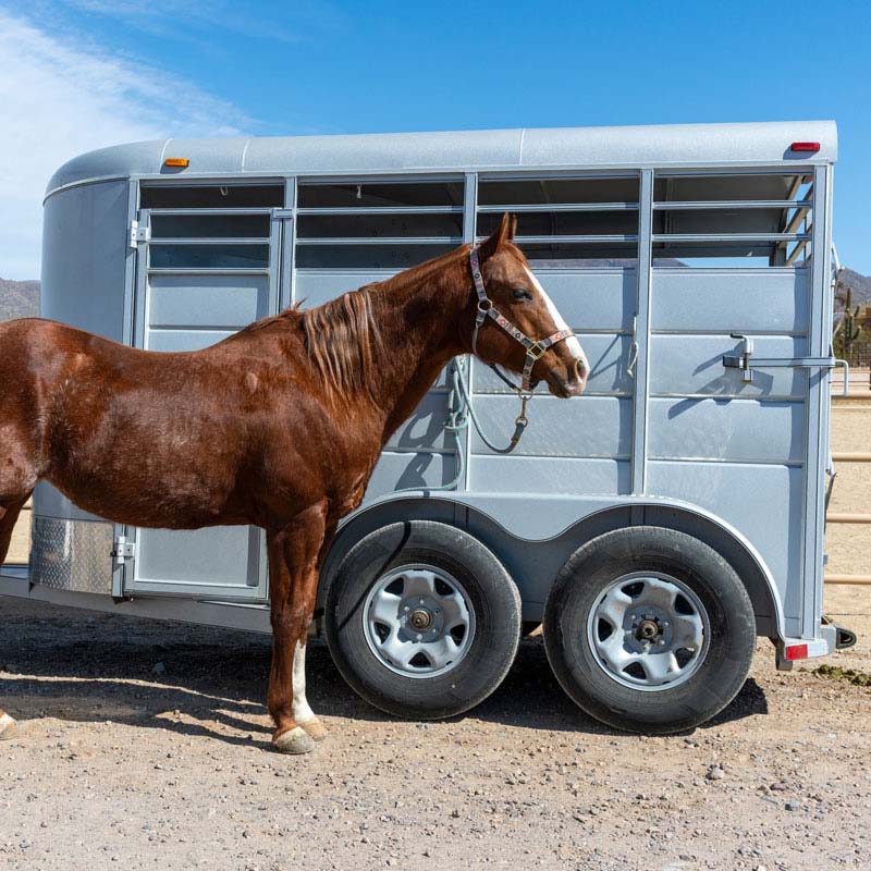 Animal Trailer Moving Service